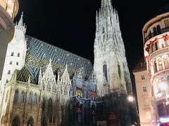 -斯蒂芬主教座堂(Stephansdom)