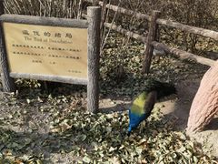 -北京麋鹿生态实验中心