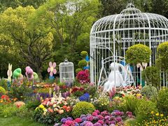 -上海共青森林公园