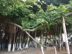 -胡里山炮台