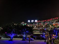 -枇杷园食为鲜火锅(南山店)