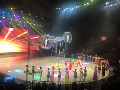 -重庆国际马戏城