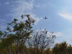 -北京鹿世界主题园