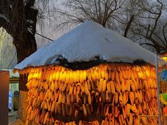 -长春市南湖公园