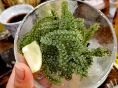 -鰓呼吸 石垣島 美崎町店