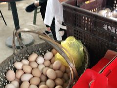 -马陆小张葡萄园农家乐