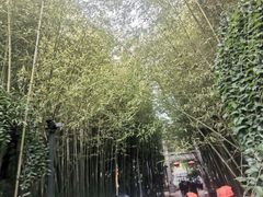 -竹泉村旅游度假区