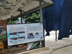 -璞真扎染博物馆