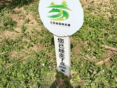 -泗洪洪泽湖湿地景区
