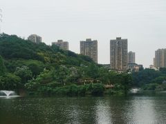 -重庆彩云湖湿地公园