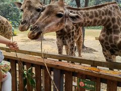 -兰剑驾校(汉阳校区)