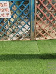 -萌宠亲子动物乐园(槐房万达店)