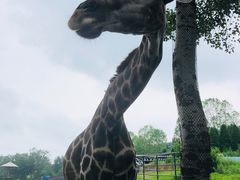 -大连森林动物园