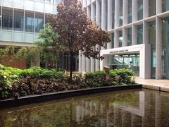 iphone_upload_pic-香港大学