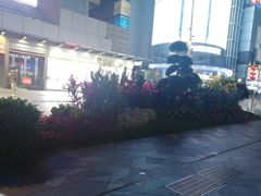 -赛格电子市场(华强北路店)