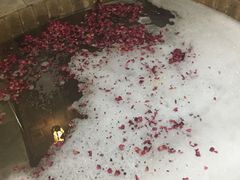 -北京美神宫艺术主题温泉酒店