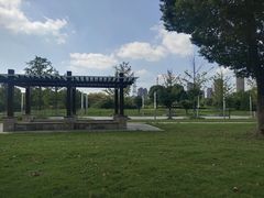 -九里河湿地公园
