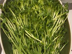 活体豆苗-如一鸡鲍鱼·粤式煲汤(长泰广场店)