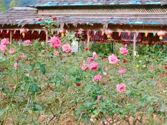 -韶关经律论国际酒店温泉