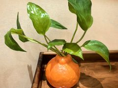 -犇鼎牛潮汕牛肉火锅(新辰里学清路店)