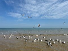 -那香海钻石沙滩浴场