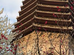 -玲珑塔公园
