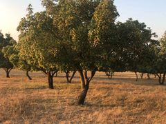 -五角枫生态旅游景区