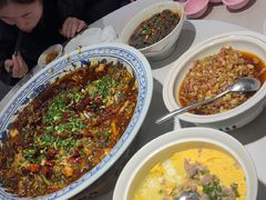 -新概念来凤鱼(璧山店)