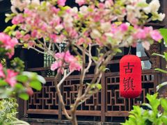 -恩阳古镇