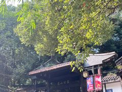 -忠山公园