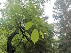 -长春市南湖公园