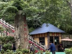 -洛阳白云山景区