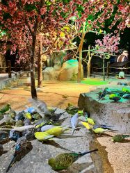 -酷嗒动物文化乐园(cutezoo西溪乐天城店)