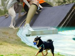 -汉长安城未央宫国家考古遗址公园