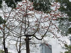 -南宁南湖公园