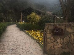 -远山有窑