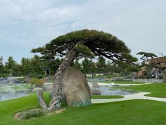 -罗红摄影艺术馆