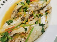 -长平老姿娘夜粥(平东一街店)