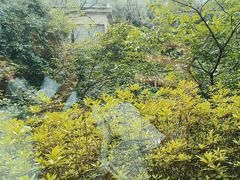 -天怡·鱼工厂(梅溪湖店)
