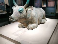 -宁夏博物馆