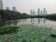 -前关湿地公园