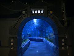 -石家庄极地海洋世界