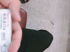 -洛阳龙门站