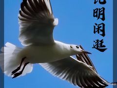 -海埂大坝