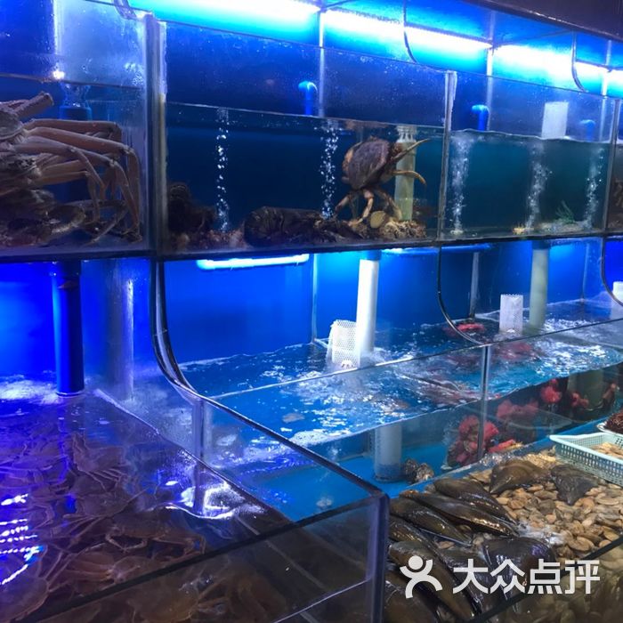 深愛及海海鮮餐廳圖片-北京海鮮-大眾點評網