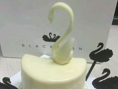 -BLACKSWAN黑天鹅(环球店)