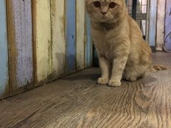 -小时光咖啡馆(开森度假森林店)