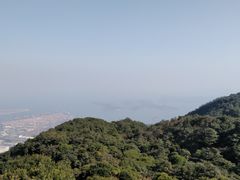 -梧桐山风景名胜区