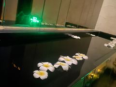 -Dragonfly悠庭·按摩Spa(浦东嘉里城店)