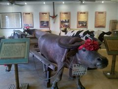 -横沥牛庄(总店)